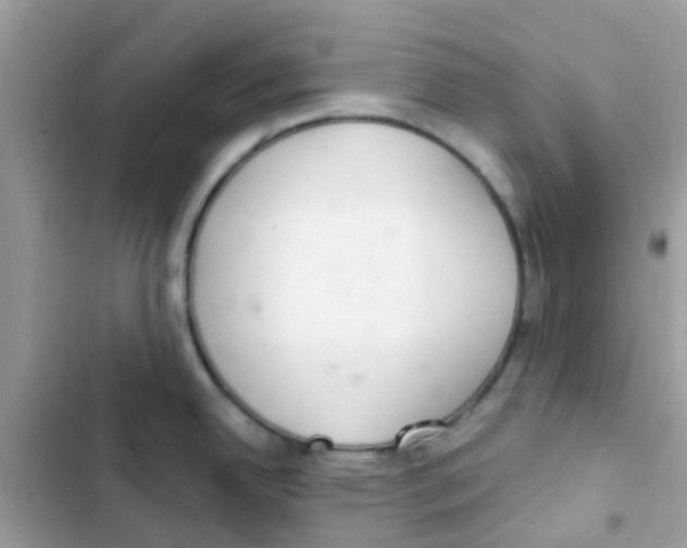 X0000103171342200809192108