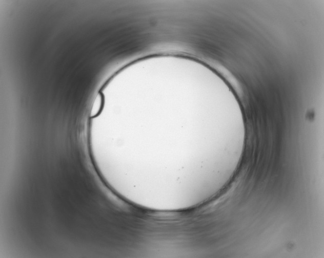 X0000103171343200809192108