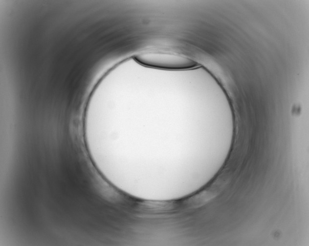 X0000103171344200809192108