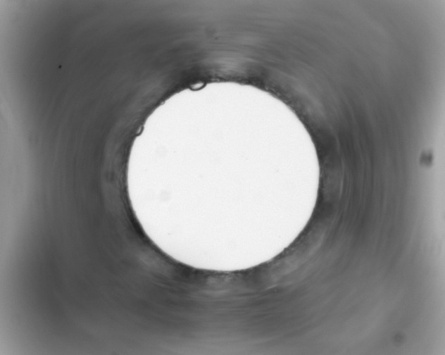 X0000103171345200809192107