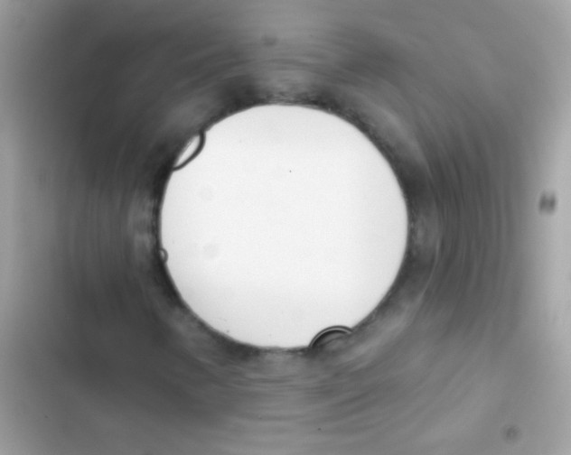 X0000103171346200809192107