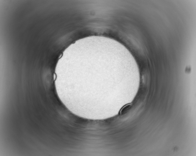 X0000103171347200809192107