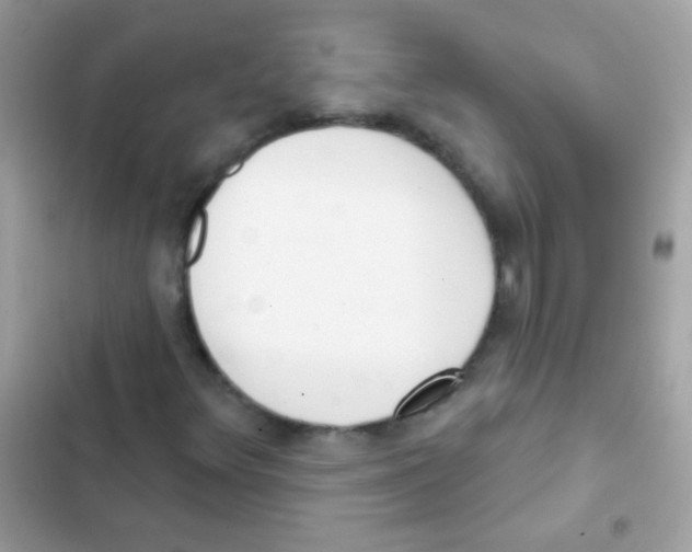 X0000103171348200809192107