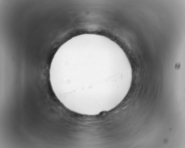 X0000103171349200809192107