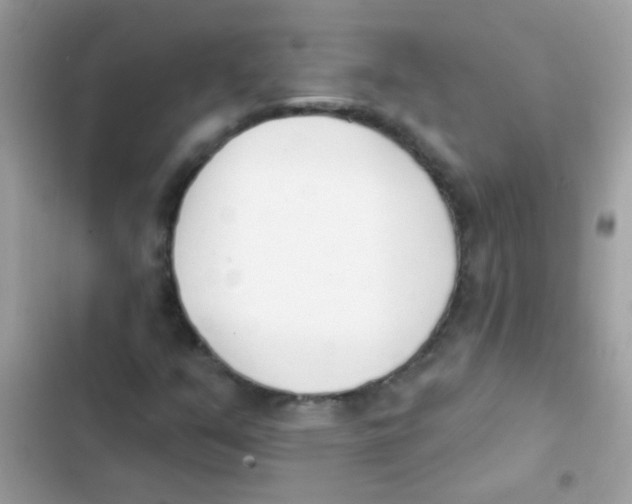 X0000103171351200809192107