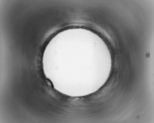 X0000103171352200809192107