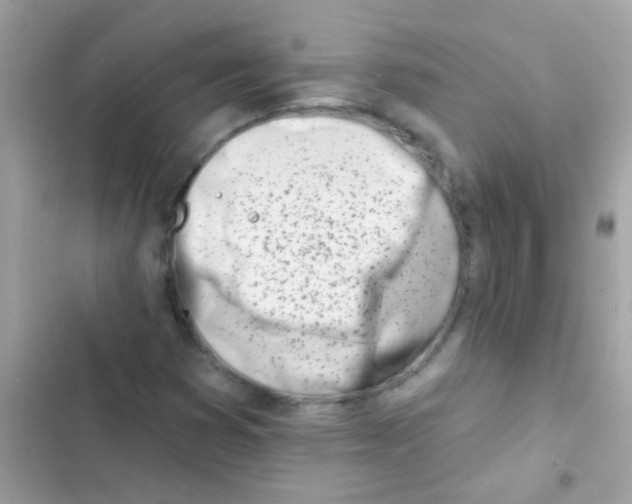 X0000103171353200809192107