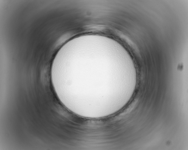 X0000103171354200809192107