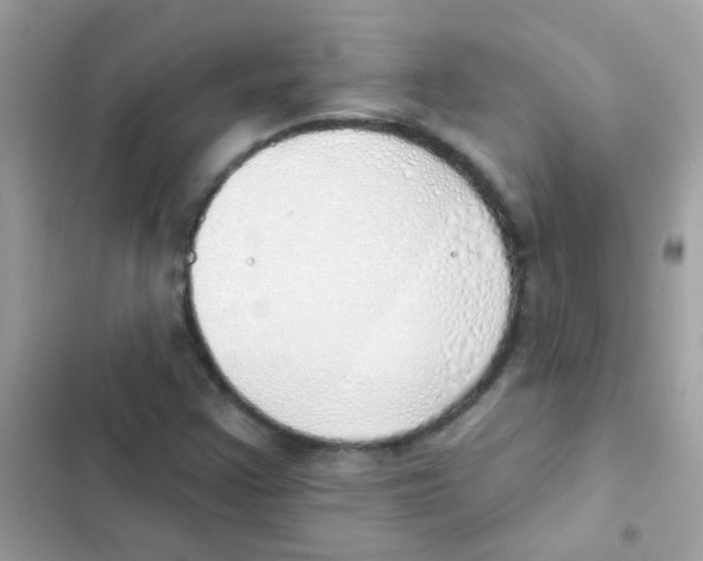 X0000103171355200809192107