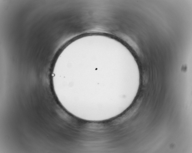 X0000103171356200809192107