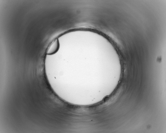 X0000103171358200809192107