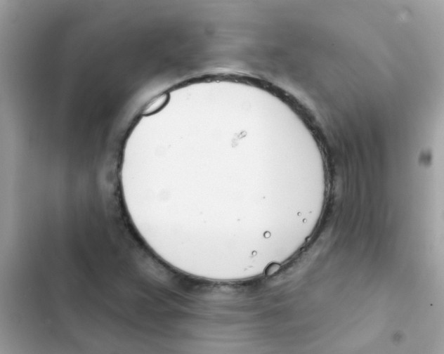 X0000103171359200809192107