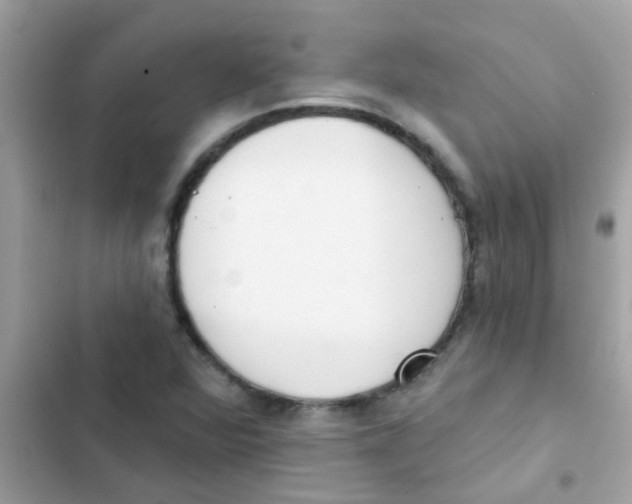 X0000103171360200809192107