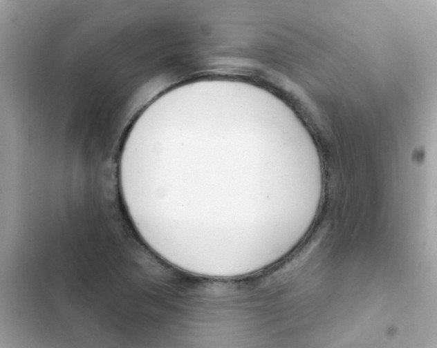 X0000103171362200809192107