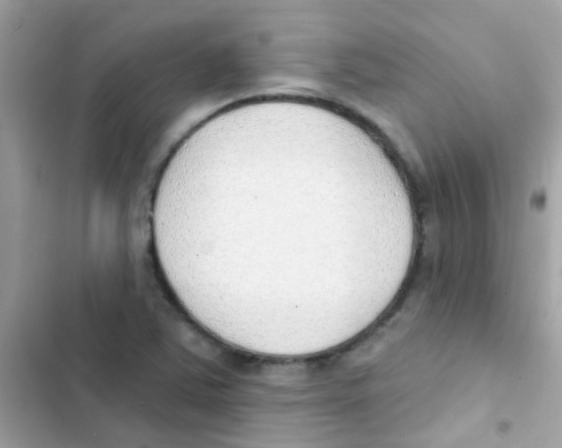 X0000103171363200809192107