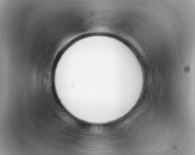 X0000103171364200809192107