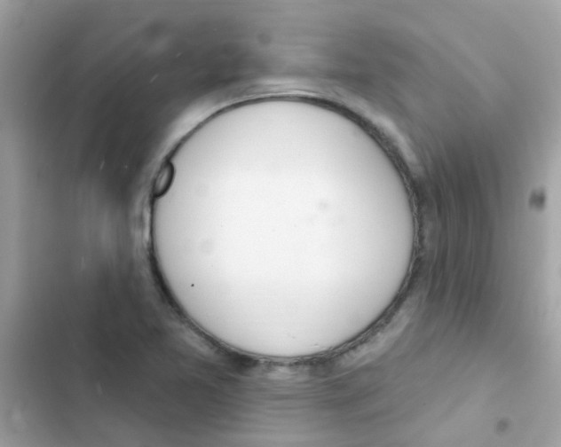 X0000103171365200809192107