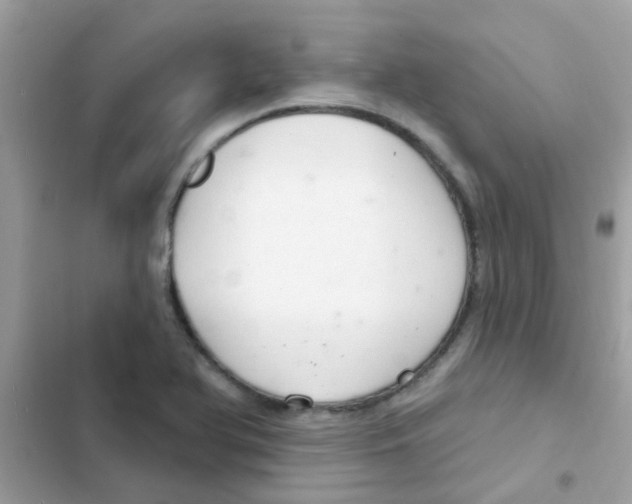 X0000103171366200809192107