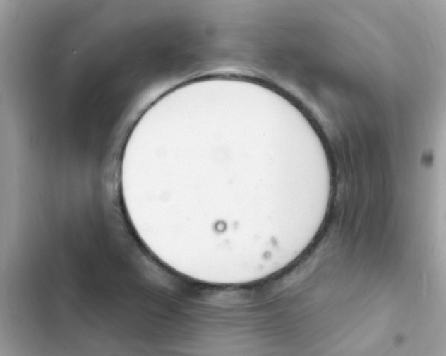 X0000103171367200809192107