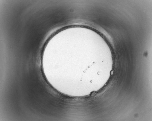 X0000103171368200809192107