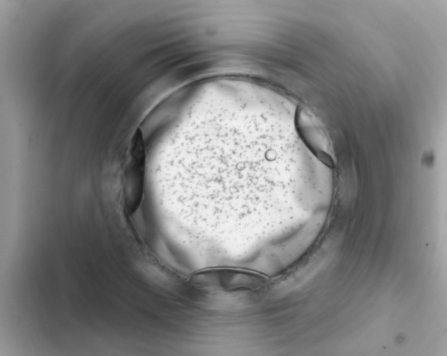 X0000103171369200809192107