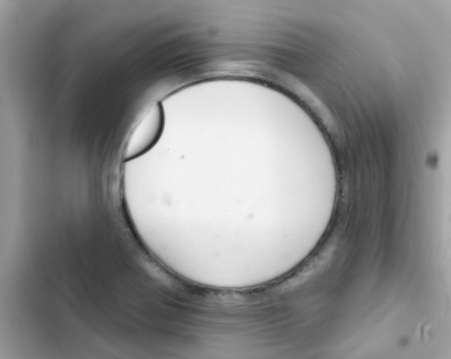 X0000103171370200809192107