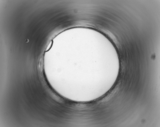 X0000103171371200809192107