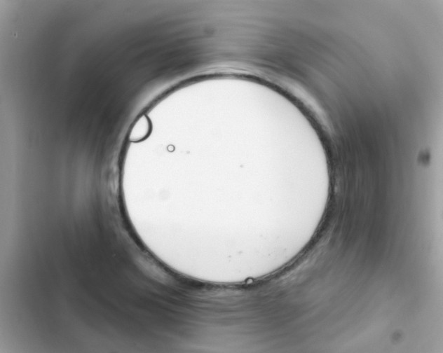 X0000103171372200809192107