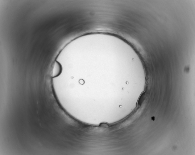 X0000103171374200809192107