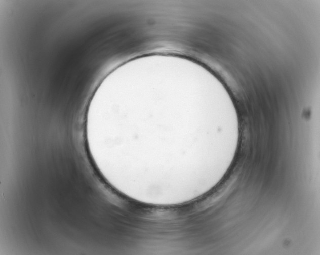 X0000103171375200809192107