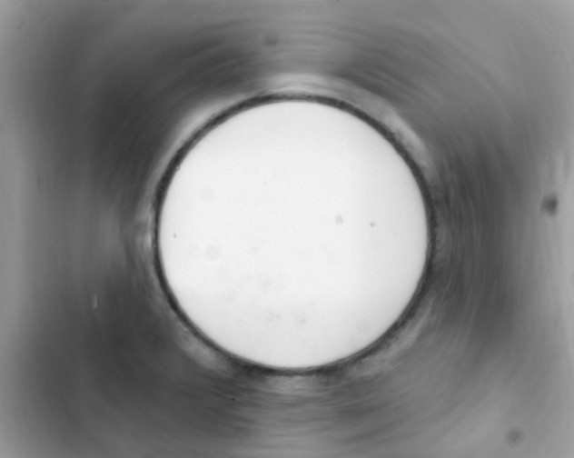 X0000103171376200809192107