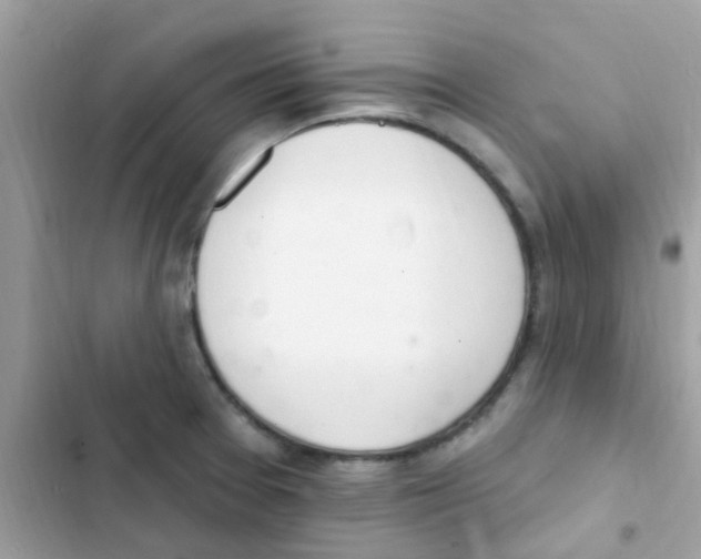 X0000103171377200809192107