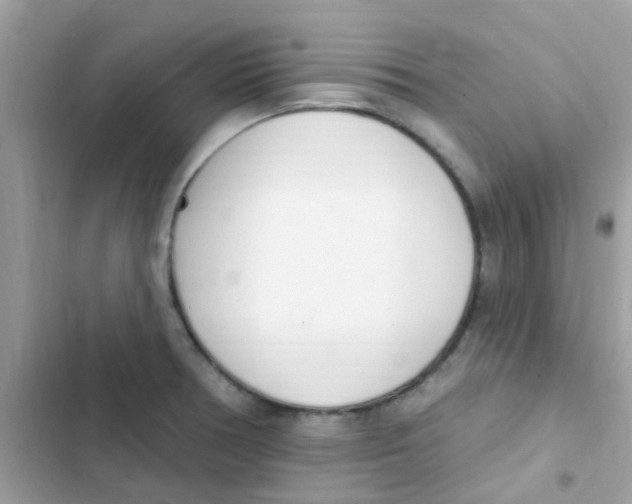 X0000103171378200809192107