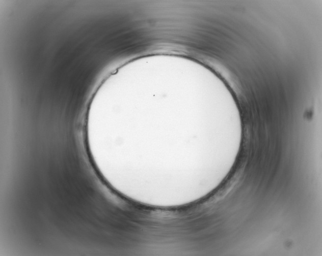 X0000103171379200809192107