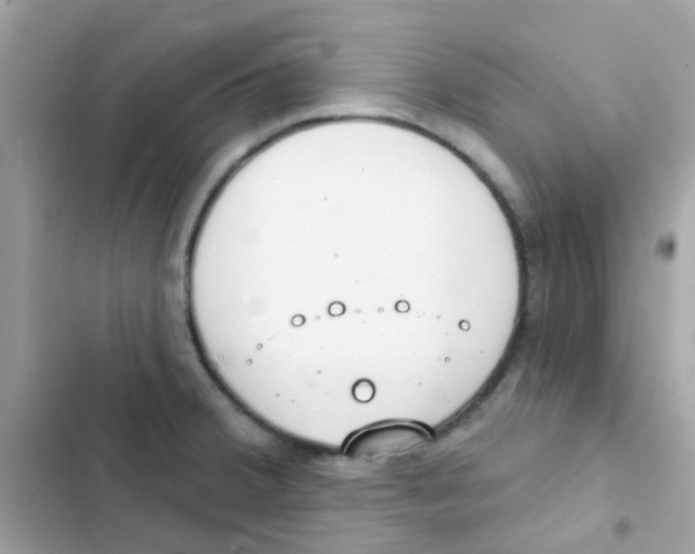 X0000103171380200809192107