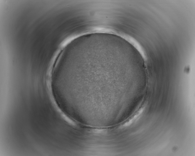 X0000103171381200809192107