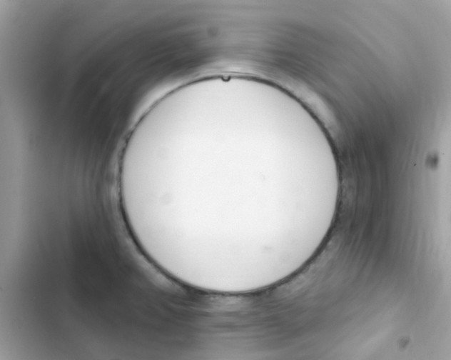 X0000103171382200809192107