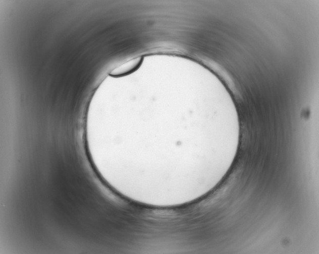 X0000103171383200809192107