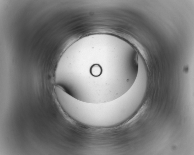 X0000103171385200809192107