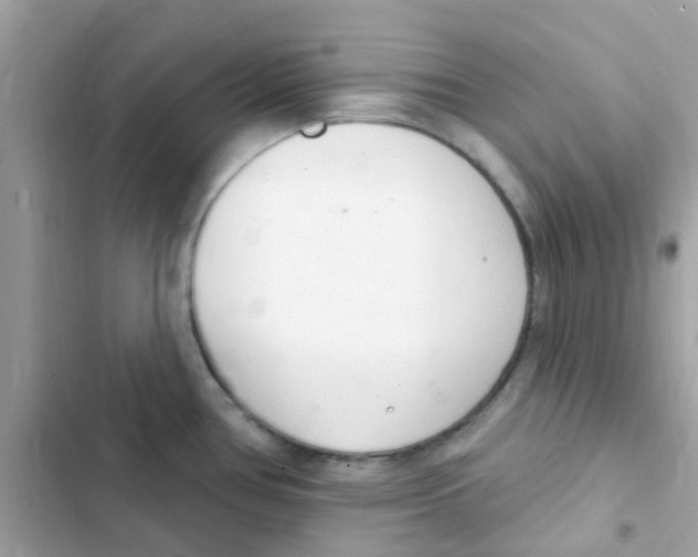 X0000103171386200809192107