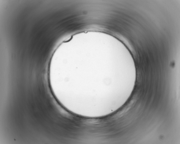 X0000103171387200809192107