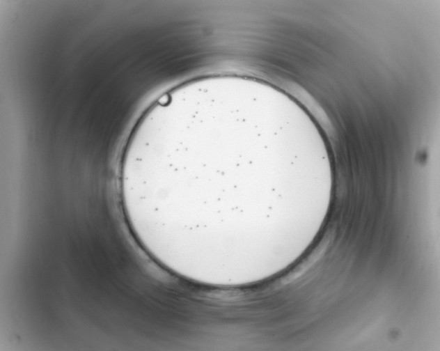 X0000103171388200809192107