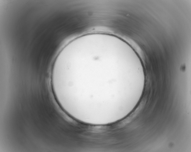 X0000103171390200809192107