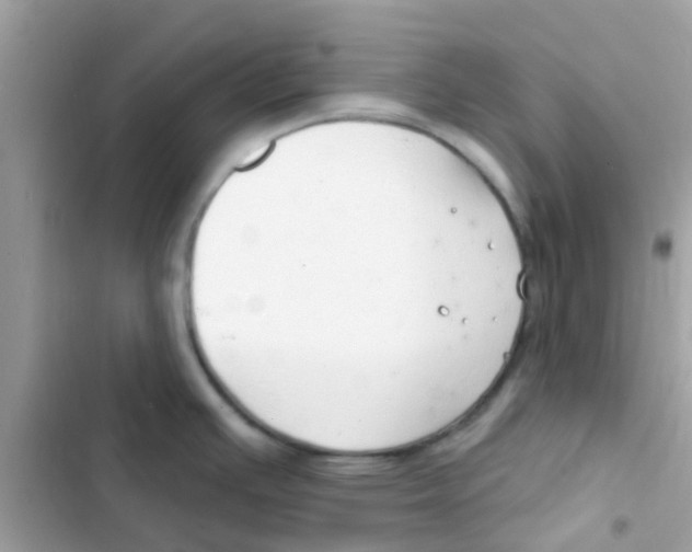 X0000103171391200809192107