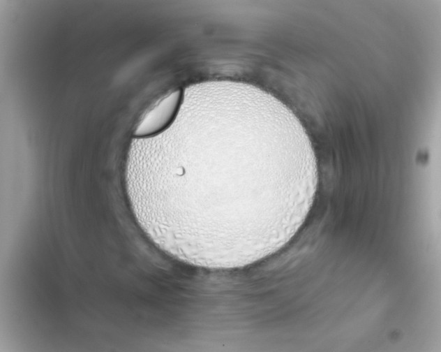 X0000103171393200809192106