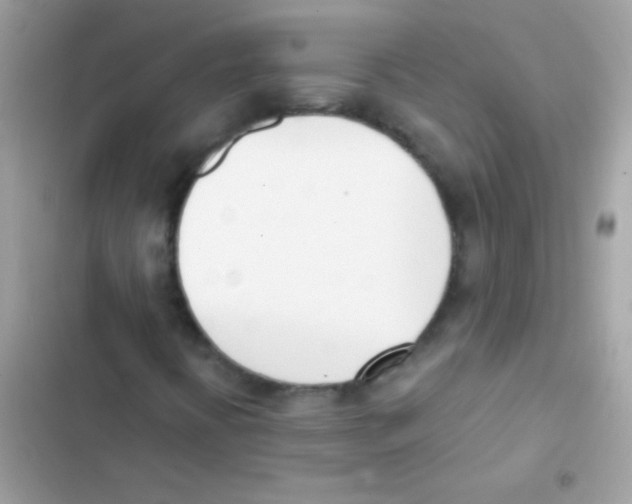 X0000103171394200809192106