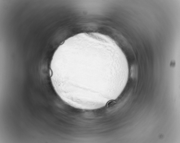 X0000103171395200809192106