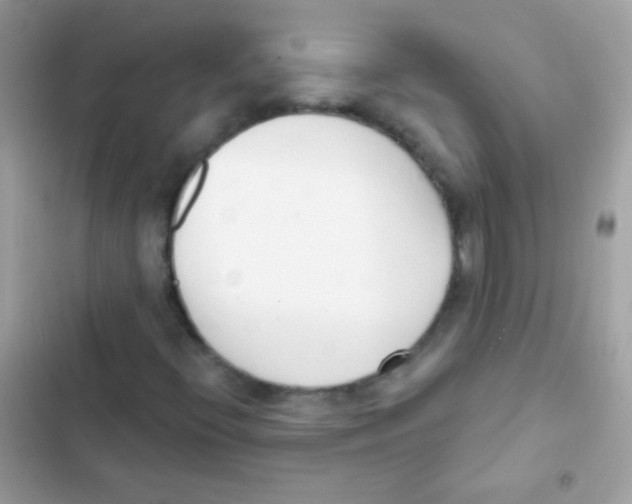 X0000103171396200809192106