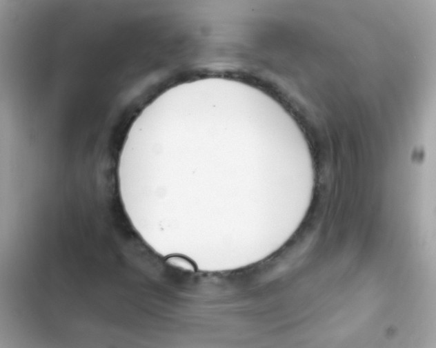 X0000103171398200809192106