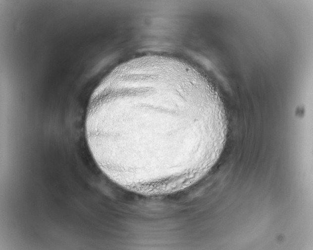 X0000103171399200809192106